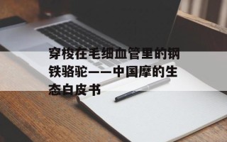 穿梭在毛细血管里的钢铁骆驼——中国摩的生态白皮书