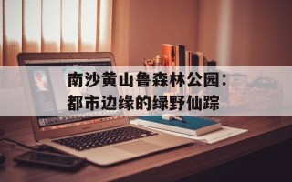 南沙黄山鲁森林公园：都市边缘的绿野仙踪