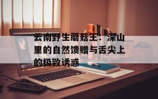 云南野生蘑菇王：深山里的自然馈赠与舌尖上的极致诱惑