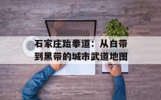 石家庄跆拳道：从白带到黑带的城市武道地图