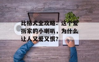 比格犬全攻略：这个爱拆家的小喇叭，为什么让人又爱又恨？