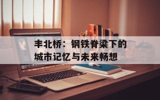 丰北桥：钢铁脊梁下的城市记忆与未来畅想