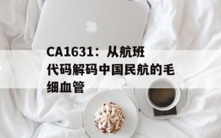CA1631：从航班代码解码中国民航的毛细血管
