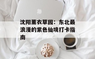 沈阳薰衣草园：东北最浪漫的紫色仙境打卡指南