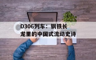 D306列车：钢铁长龙里的中国式流动史诗