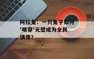 阿拉兔：一只兔子如何'啃穿'元壁成为全民偶像？