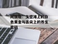阿魏菇：戈壁滩上的白色黄金与舌尖上的养生密码