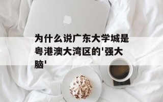 为什么说广东大学城是粤港澳大湾区的'强大脑'