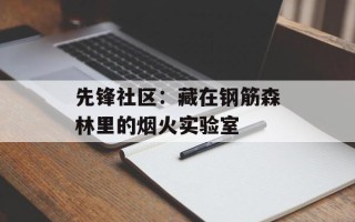 先锋社区：藏在钢筋森林里的烟火实验室