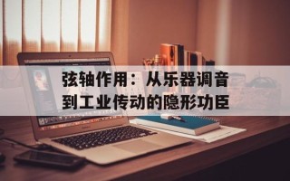 弦轴作用：从乐器调音到工业传动的隐形功臣
