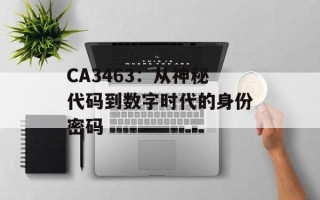 CA3463：从神秘代码到数字时代的身份密码
