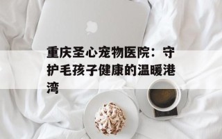 重庆圣心宠物医院：守护毛孩子健康的温暖港湾