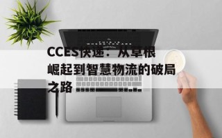 CCES快递：从草根崛起到智慧物流的破局之路
