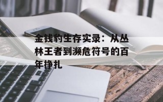 金钱豹生存实录：从丛林王者到濒危符号的百年挣扎