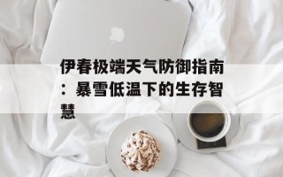 伊春极端天气防御指南：暴雪低温下的生存智慧
