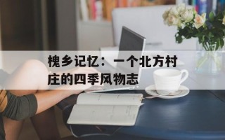 槐乡记忆：一个北方村庄的四季风物志