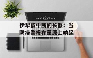 伊犁被中断的长假：当防疫警报在草原上响起