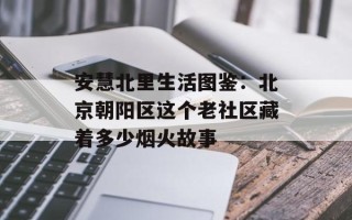 安慧北里生活图鉴：北京朝阳区这个老社区藏着多少烟火故事