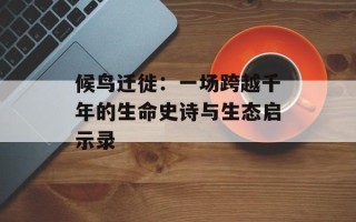 候鸟迁徙：一场跨越千年的生命史诗与生态启示录