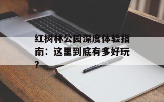 红树林公园深度体验指南：这里到底有多好玩？