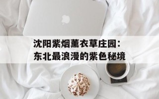 沈阳紫烟薰衣草庄园：东北最浪漫的紫色秘境