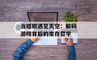 当翅膀遇见天空：解码游翔背后的生存哲学