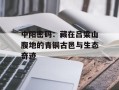 中阳密码：藏在吕梁山腹地的青铜古邑与生态奇迹