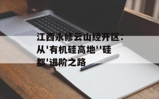 江西永修云山经开区：从'有机硅高地''硅都'进阶之路