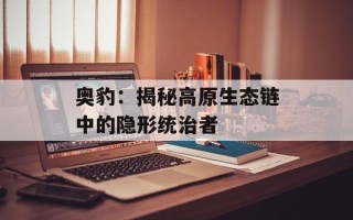 奥豹：揭秘高原生态链中的隐形统治者