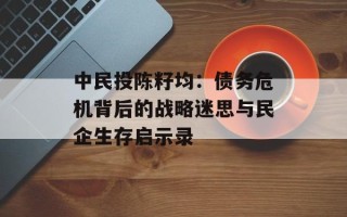 中民投陈籽均：债务危机背后的战略迷思与民企生存启示录