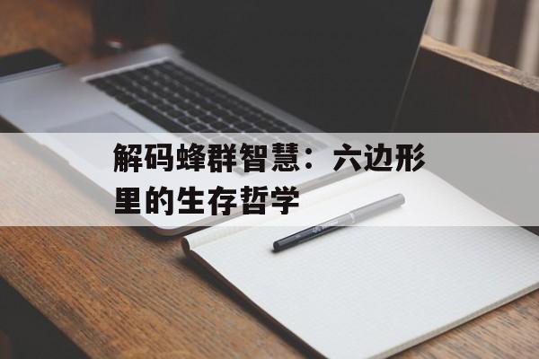 解码蜂群智慧：六边形里的生存哲学-第1张图片-