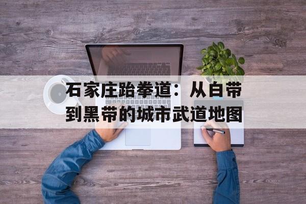 石家庄跆拳道:从白带到黑带的城市武道地图-第1张图片- 石家庄跆拳道:从白带到黑带的城市武道地图-第1张图片-