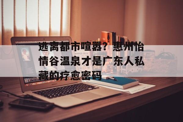 逃离都市喧嚣？惠州怡情谷温泉才是广东人私藏的疗愈密码-第1张图片-
