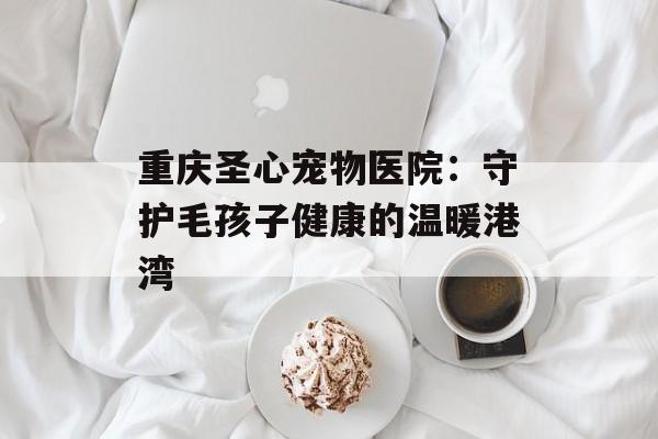 重庆圣心宠物医院：守护毛孩子健康的温暖港湾-第1张图片-