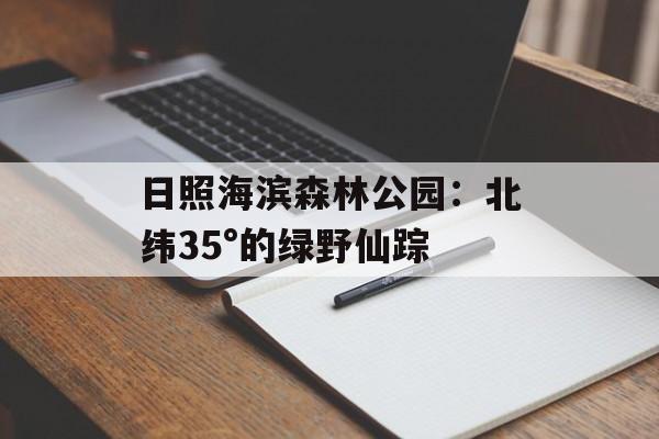 日照海滨森林公园:北纬35°的绿野仙踪-第1张图片- 日照海滨森林公园:北纬35°的绿野仙踪-第1张图片-