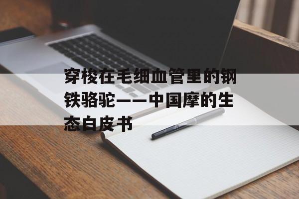 穿梭在毛细血管里的钢铁骆驼——中国摩的生态白皮书-第1张图片-