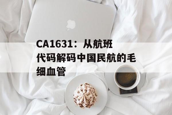 CA1631：从航班代码解码中国民航的毛细血管-第1张图片-