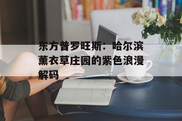 东方普罗旺斯:哈尔滨薰衣草庄园的紫色浪漫解码-第1张图片- 东方普罗旺斯:哈尔滨薰衣草庄园的紫色浪漫解码-第1张图片-