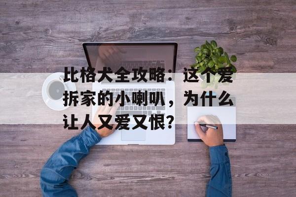 比格犬全攻略：这个爱拆家的小喇叭，为什么让人又爱又恨？-第1张图片-